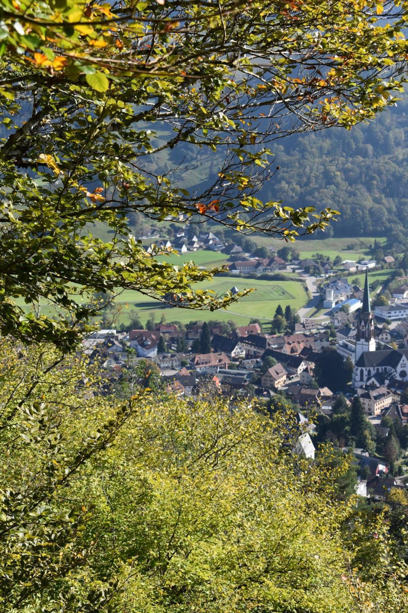 Gartenferienhaus "Annaluise" Schönau im Schwarzwald Exteriér fotografie