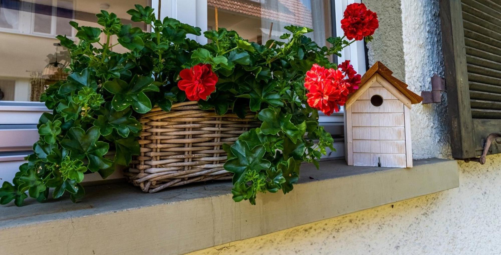 Gartenferienhaus "Annaluise" Schönau im Schwarzwald Exteriér fotografie