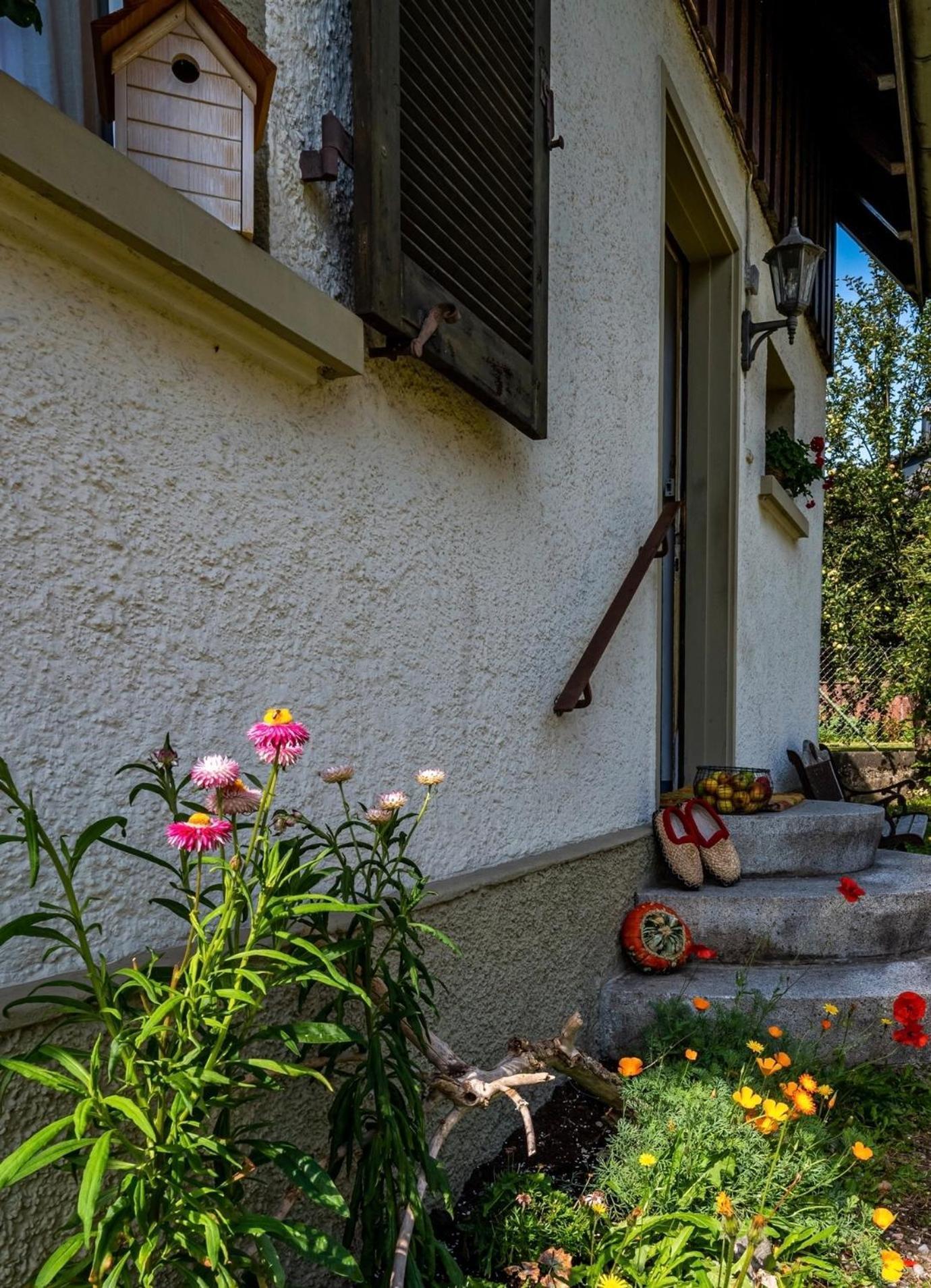 Gartenferienhaus "Annaluise" Schönau im Schwarzwald Exteriér fotografie